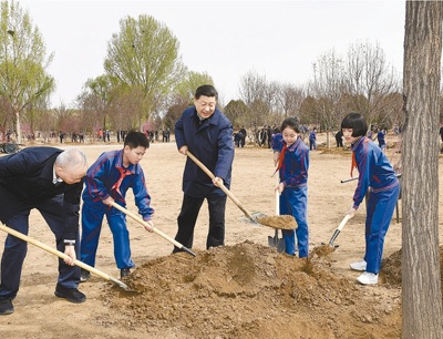 习近平：发扬中华民族爱树植树护树好传统 推动